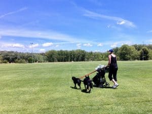 pram canberra walks