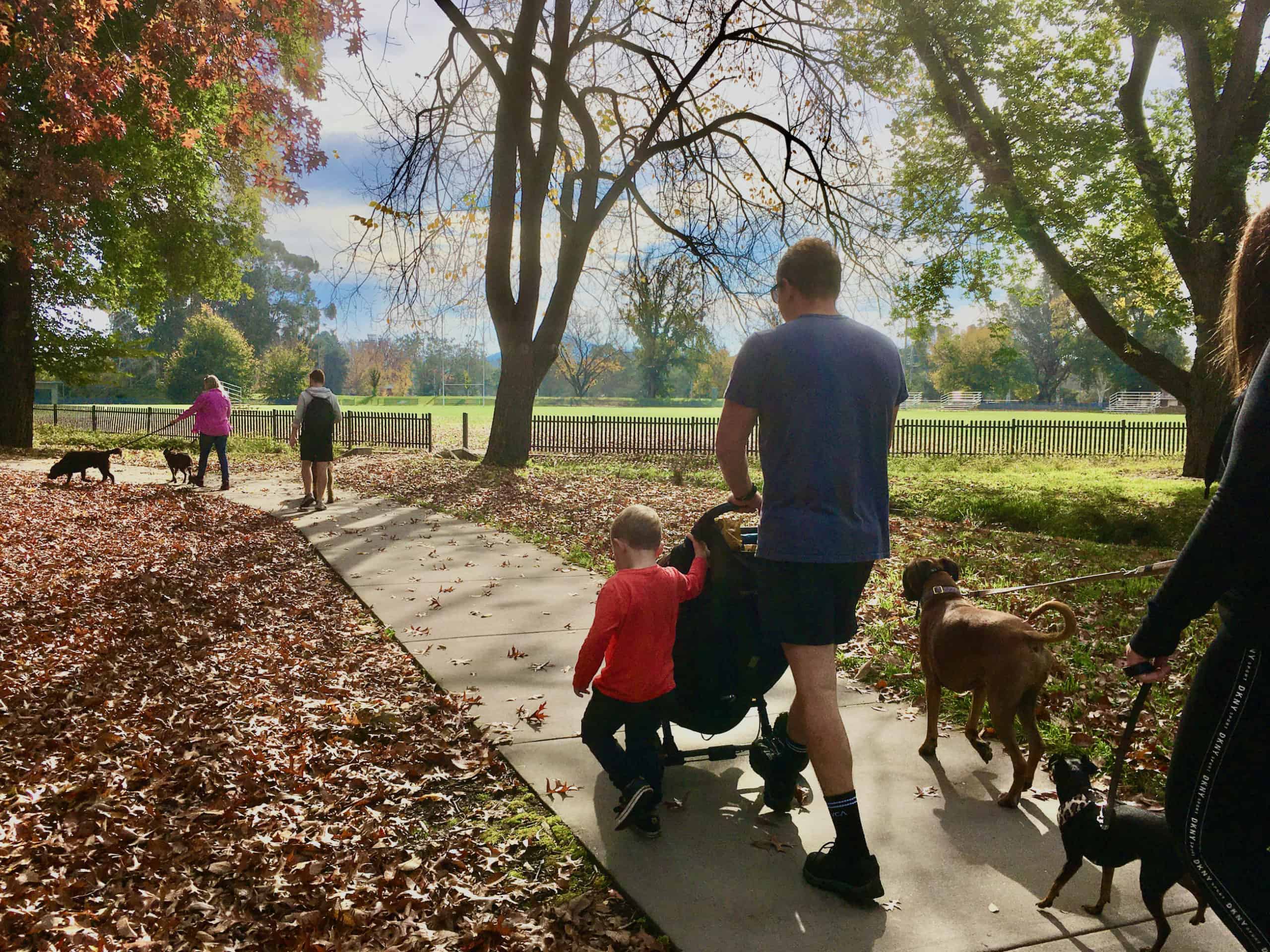 family pushing pram with dogs through park